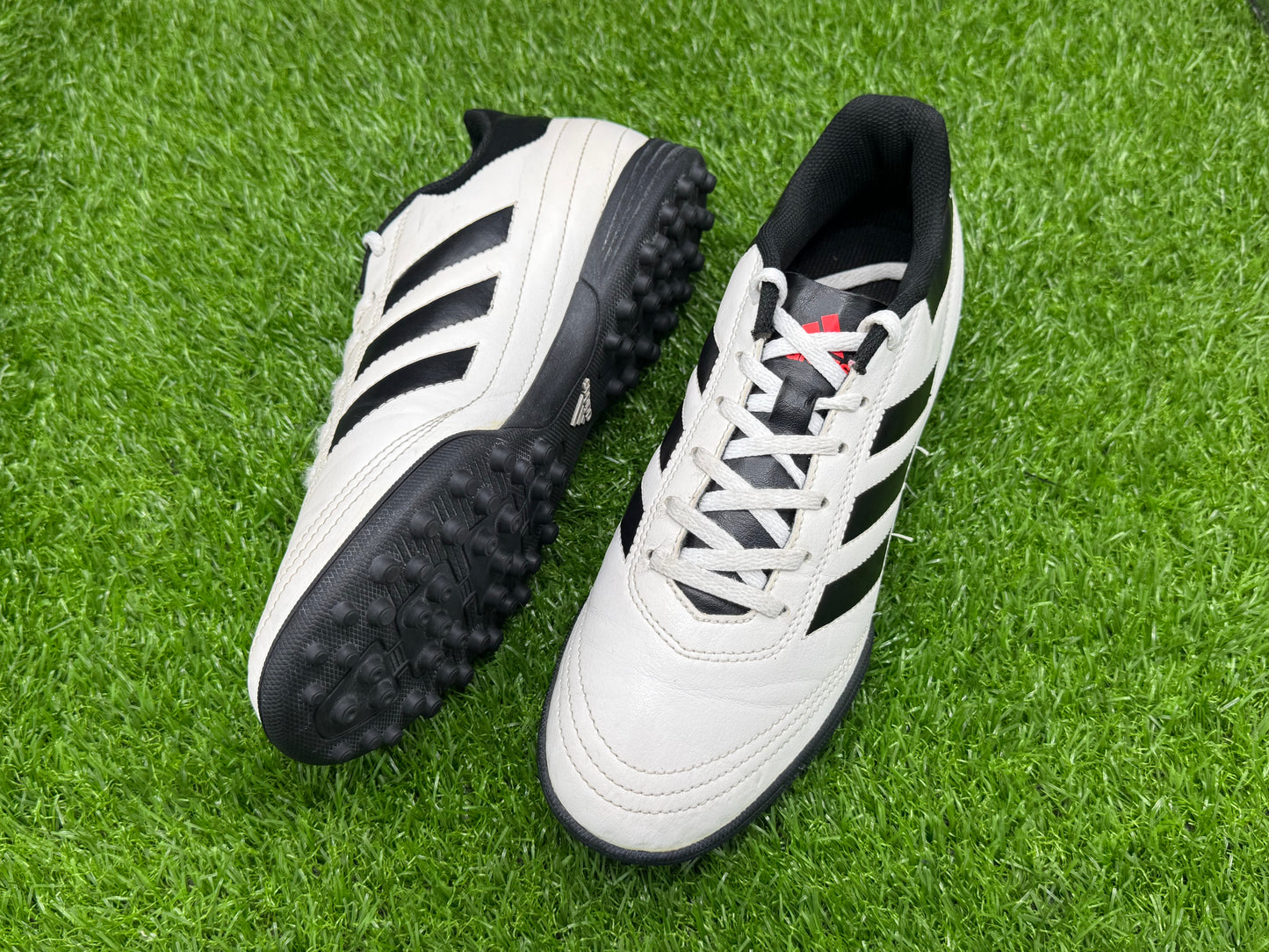adidas Goletto VI TF