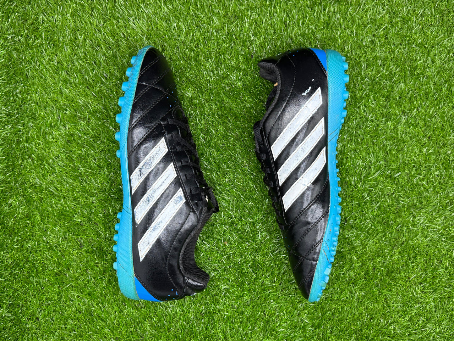 adidas GOLETTO V TF