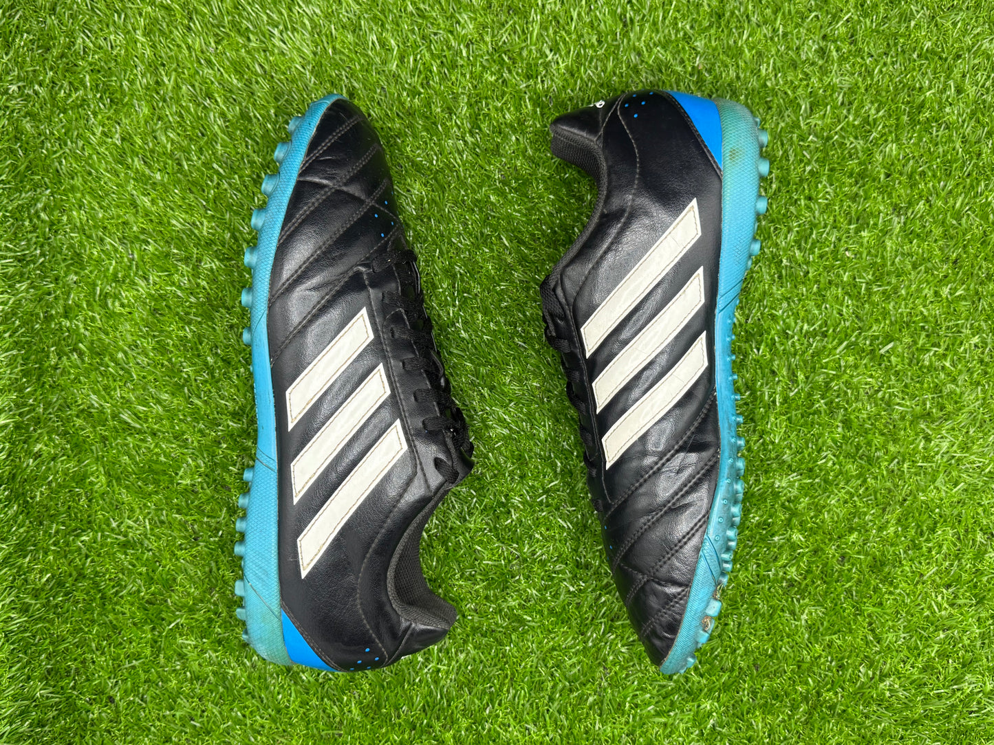 adidas GOLETTO V TF