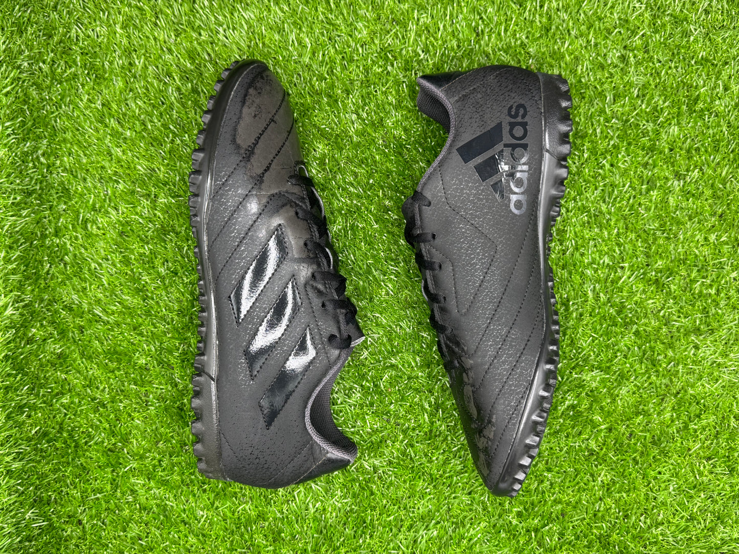 adidas Goletto VII TF