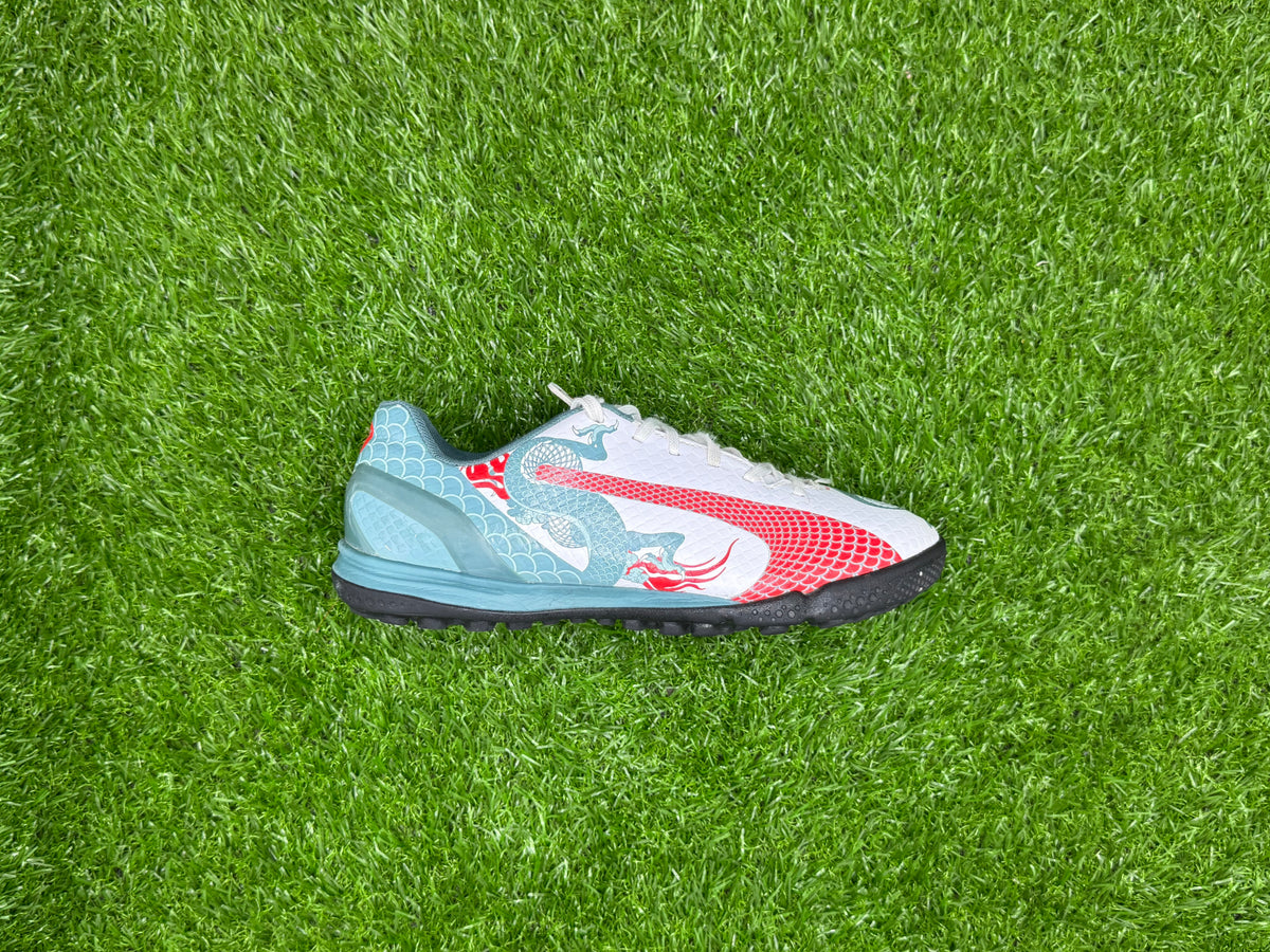 Puma Evospeed 4.3 TT